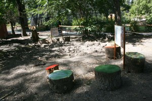 Painted Stumps, Nest Making Stations and a new ditch, dam and mud pit.